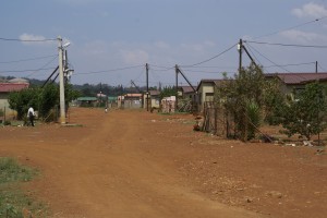 SONY DSC